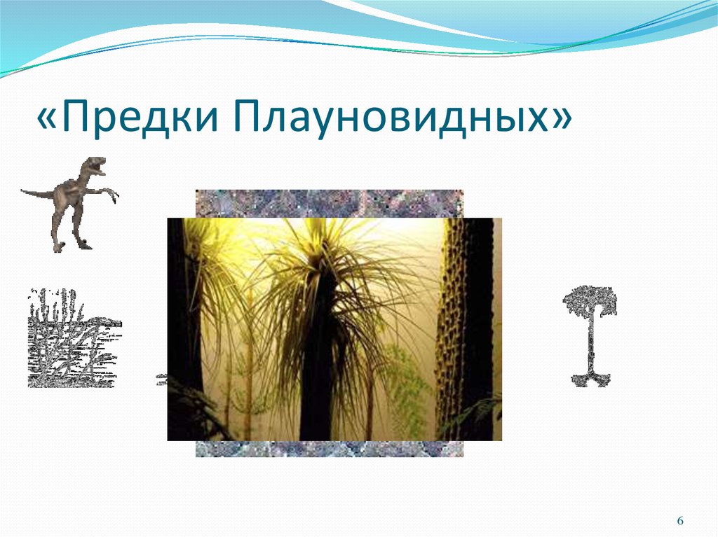 «Предки Плауновидных»