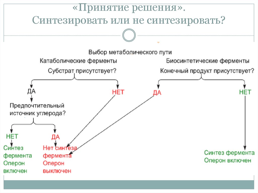 Синтезировать. Синтезирующее программирование схема. Синтезировать это. Синтезирующий. Не синтезируются.