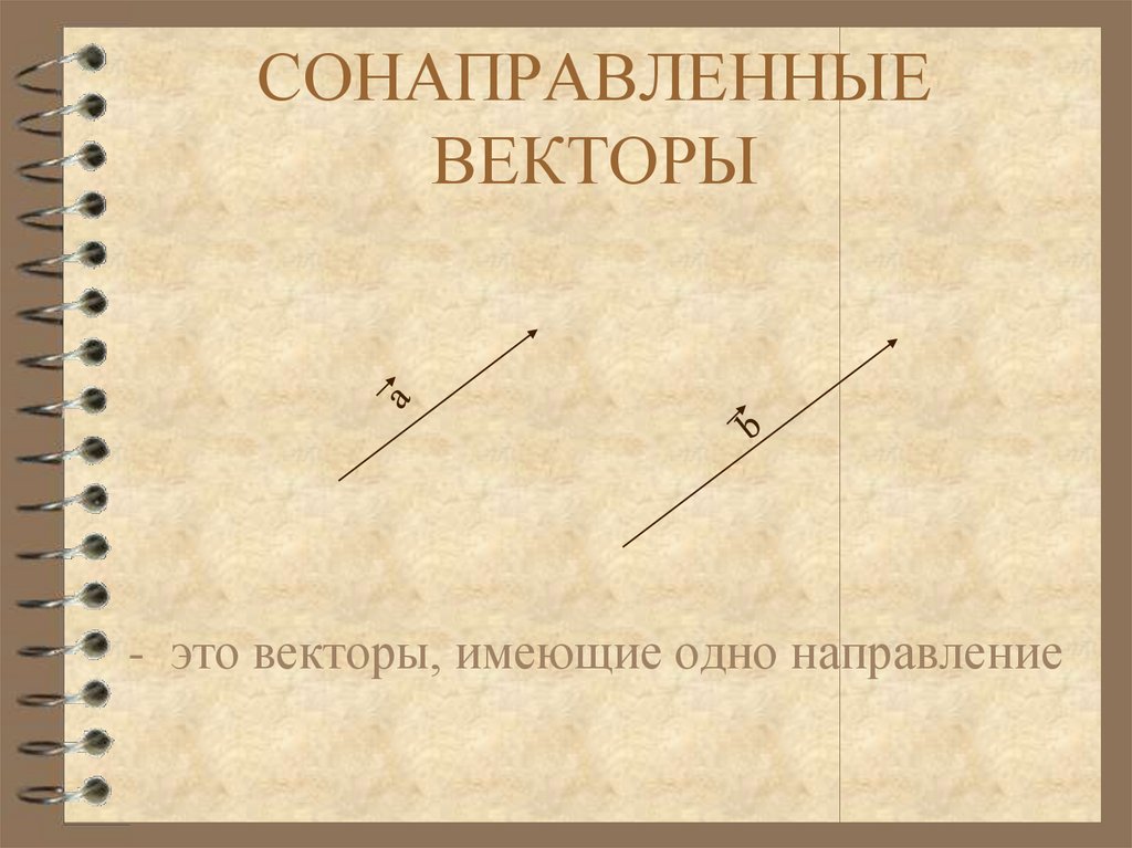 Вектор имеет направление. Сонаправленные векторы. Саноправленные вектора. Сонопарвленные вектора. Моонаправленые вектора.