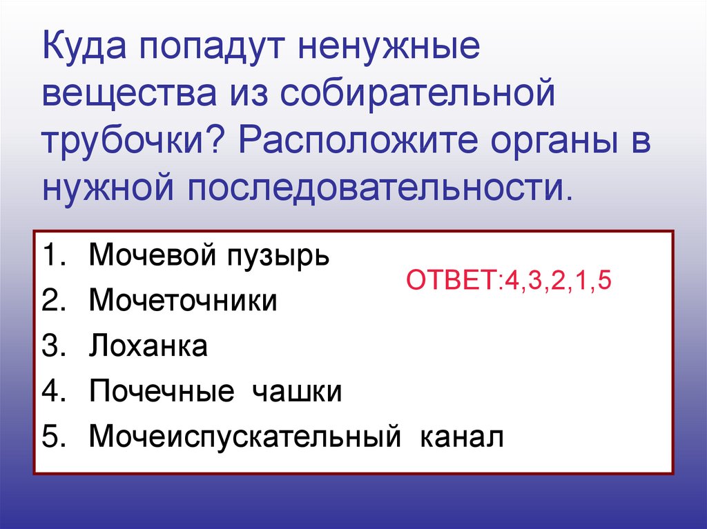 Где попали. Куда попадут ненужные вещества из собирательной трубки. Куда попадают ненужные вещества из собирательной трубочки. Расположите органы в нужной последовательности. Расположите органы в нужной последовательности мочевой пузырь.