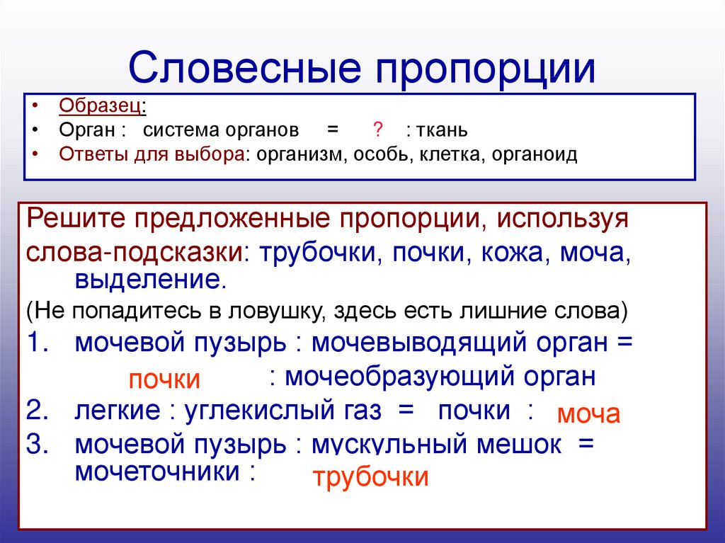 Органов образец. Словесные пропорции. Запись пропорции по словесному описанию. Словесные пропорции мочевой пузырь.