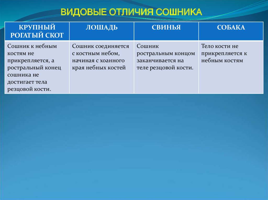 Видовое различие. Видовые отличия определений. Видовое отличие пример. Вид+ видовые отличия. Видовые отличия строить.