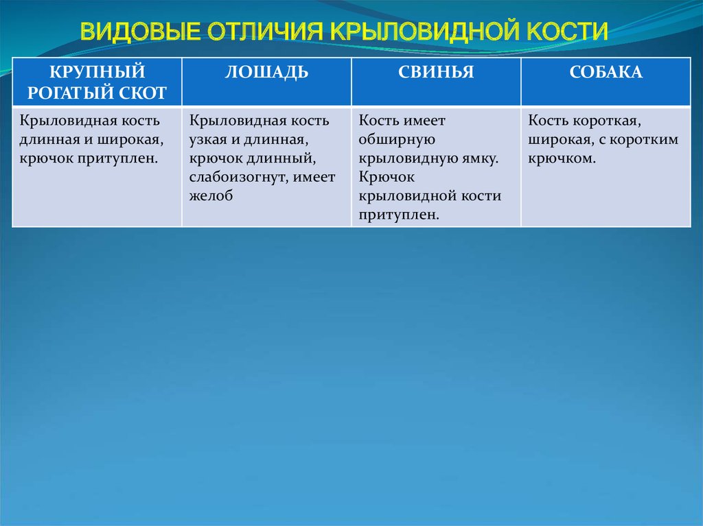 Отличия легких. Видовые различия. Видовые отличия возрастающей. Видовые отличия 3 группы. Отличия видовой детали от невидовой.