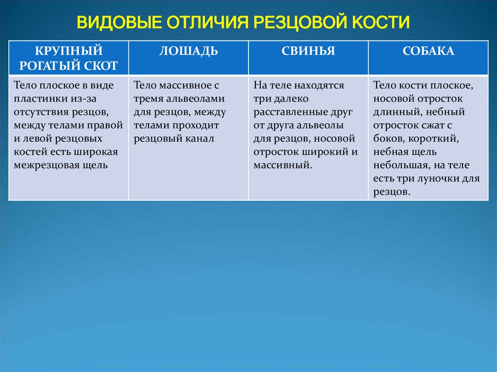 Видовое различие. Видовые различия. Видовые отличия человека. Видовое отличие пример. Видовая разница между людьми.