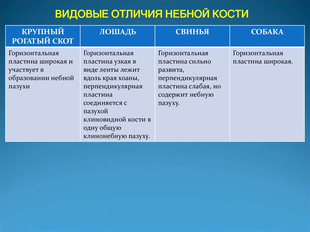 Видовое различие. Видовые различия. Видовое отличие пример. Вид+ видовые отличия. Отличия видовой детали от невидовой.