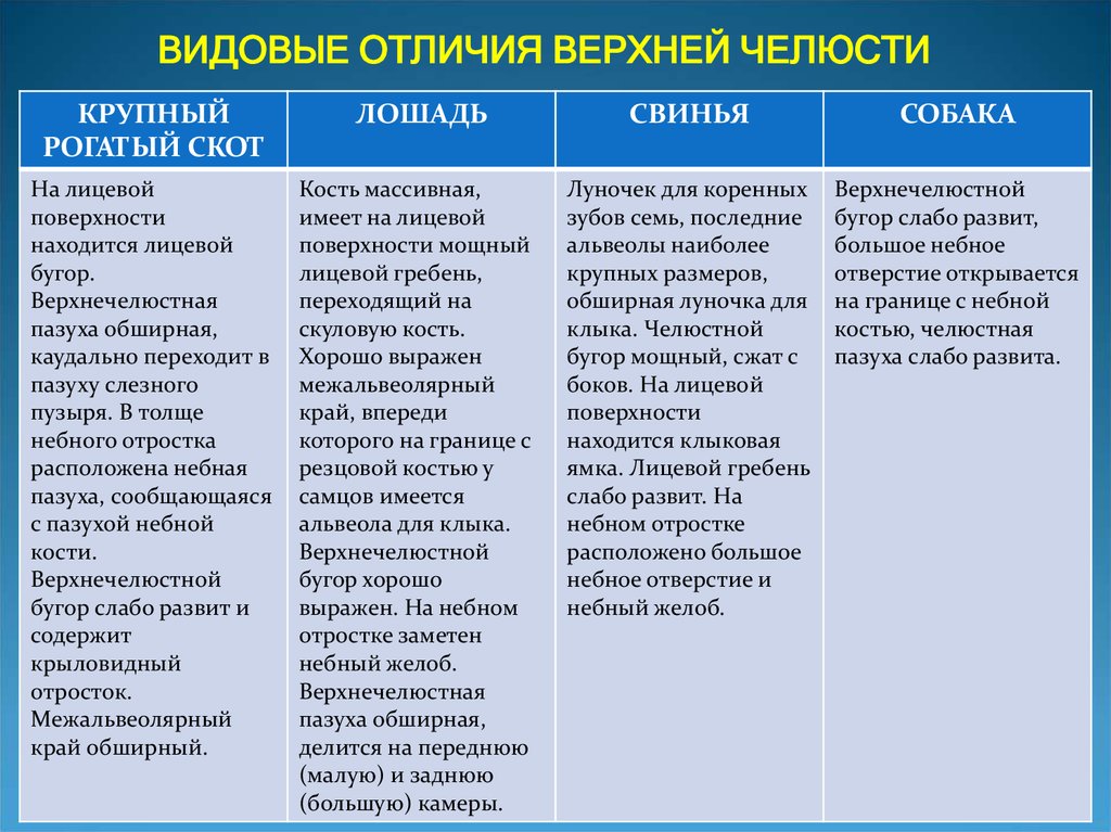 Разница верхних. Видовое отличие. Видовые отличия 3 группы. Видовые отличия возрастающей. Отличие верхней рады от.