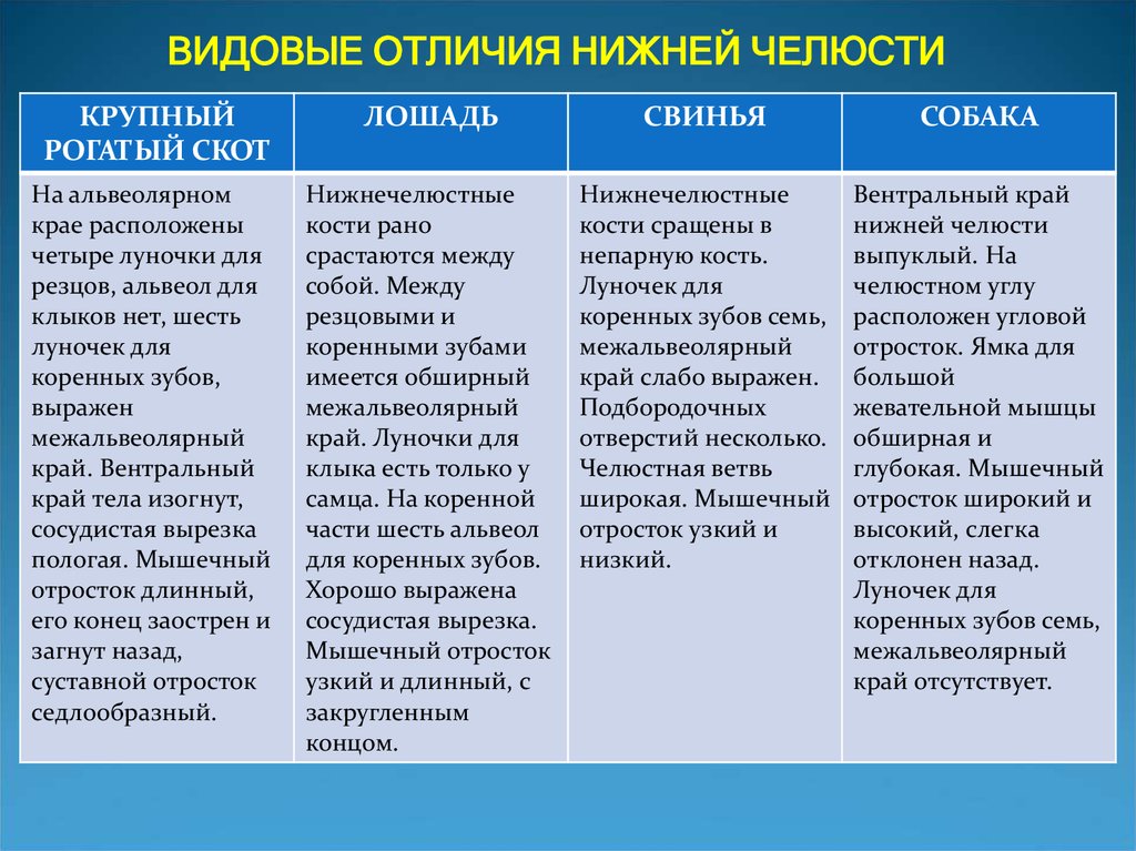 Нижний разница. Видовые различия. Видовые отличия возрастающей. Видовые отличия 3 группы. Различия видового и непосредственного.