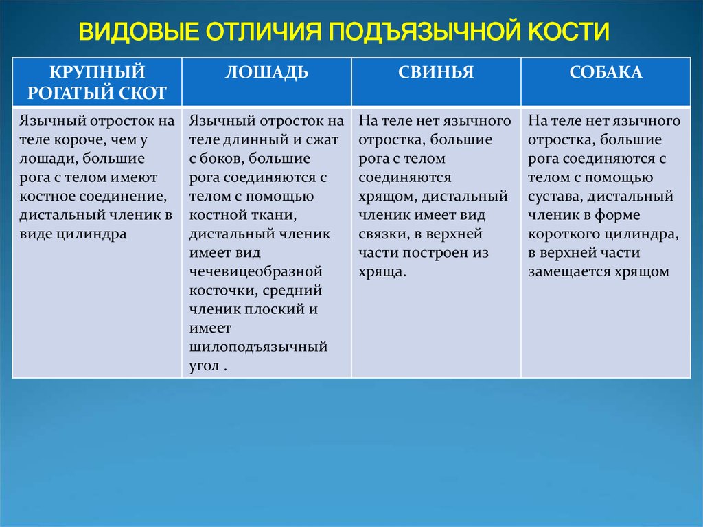 Видовое различие. Видовое отличие пример. Видовые отличия внедрения. Видовые отличия человека его место в животном мире и роль на земле.