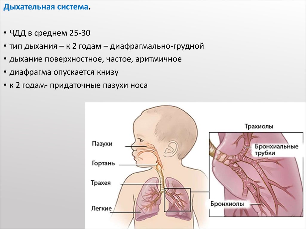 Дыхание грудничка