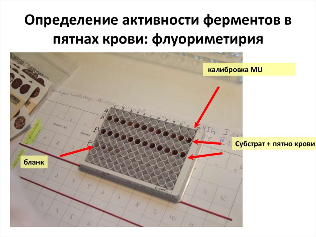 Определение активности человека