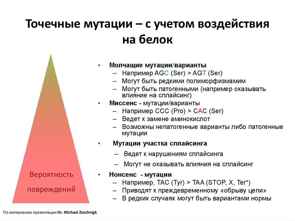 Точечные м. Точечные мутации примеры. Генные точечные мутации. Точковые мутации примеры. Мутация и точечная мутация.