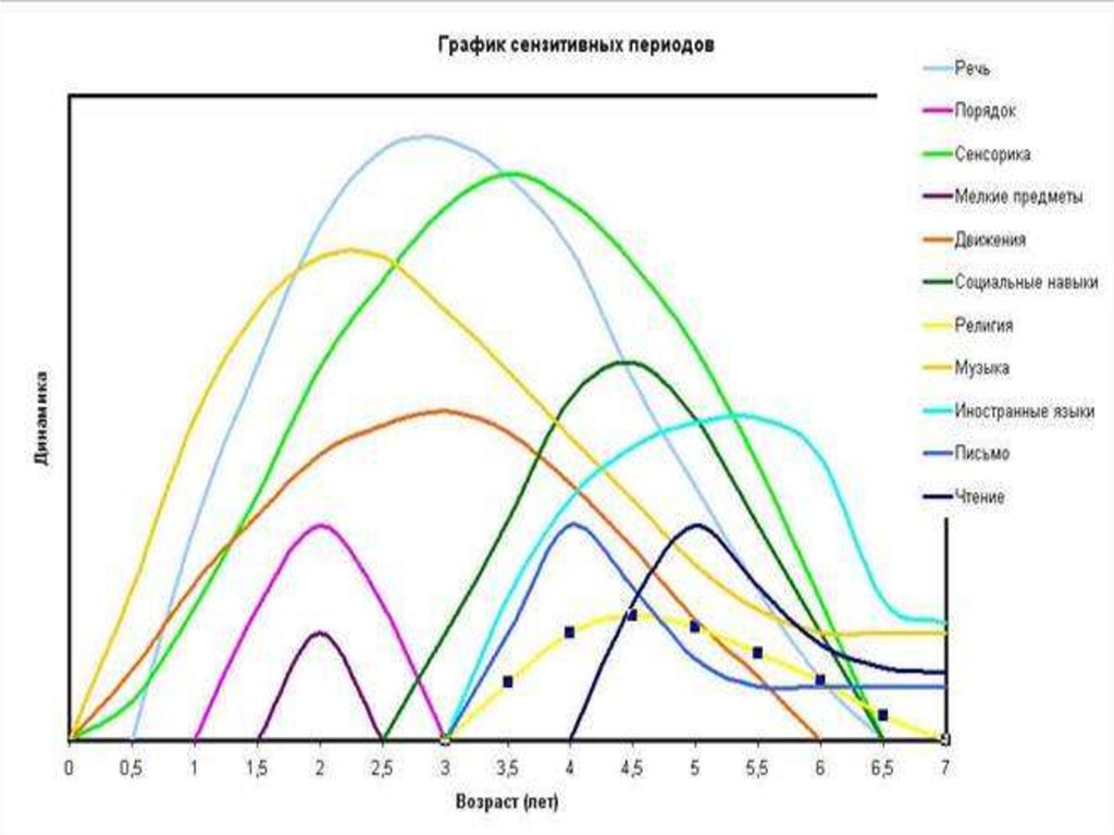 Сензитивный период монтессори схема