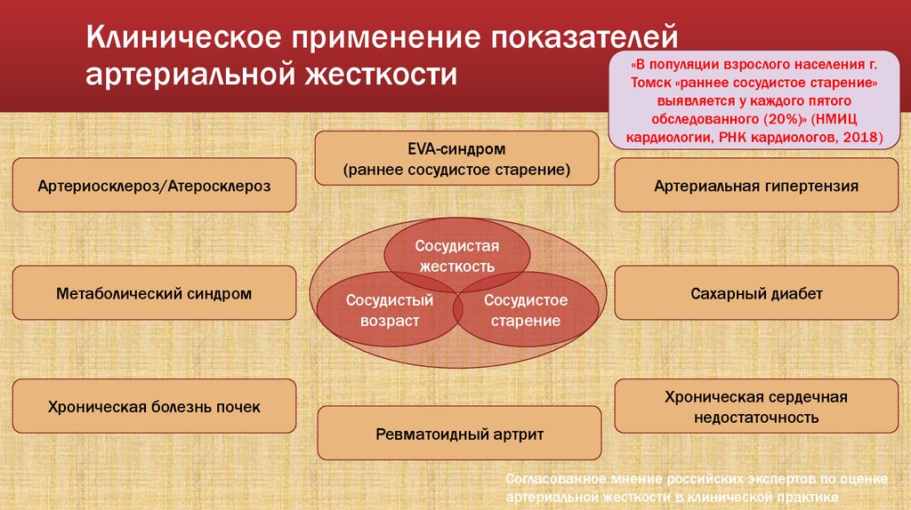 Показателями применяемыми. Артериальная жесткость. Оценка возраста сосудов. Сосудистый Возраст. Сосудистое старение.