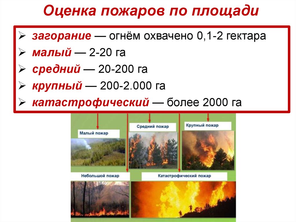 Лесные пожары обж. Классификация лесных пожаров по площади охваченной огнем. Оценка лесных пожаров по площади. Размеры пожаров. Оценка площади пожара.