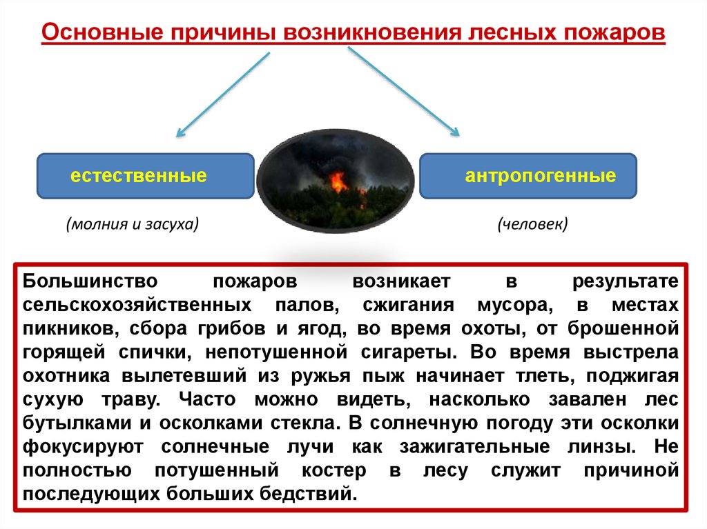 Каковы причины возникновения лесных пожаров. Причины возникновения лесных пожаров. Основные причины лесных пожаров. Основная причина лесных пожаров. Основные причины возникновения лесных пожаров.