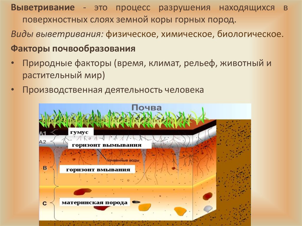 Химические свойства почвы презентация