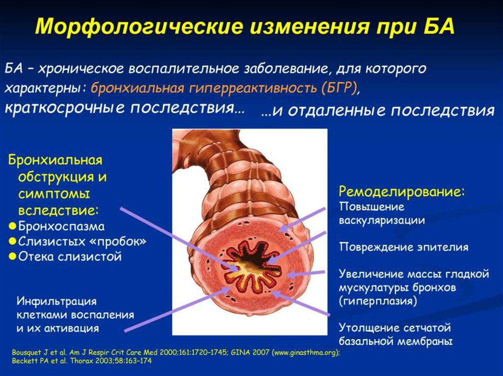 Краткосрочные последствия. Как контролировать астму.