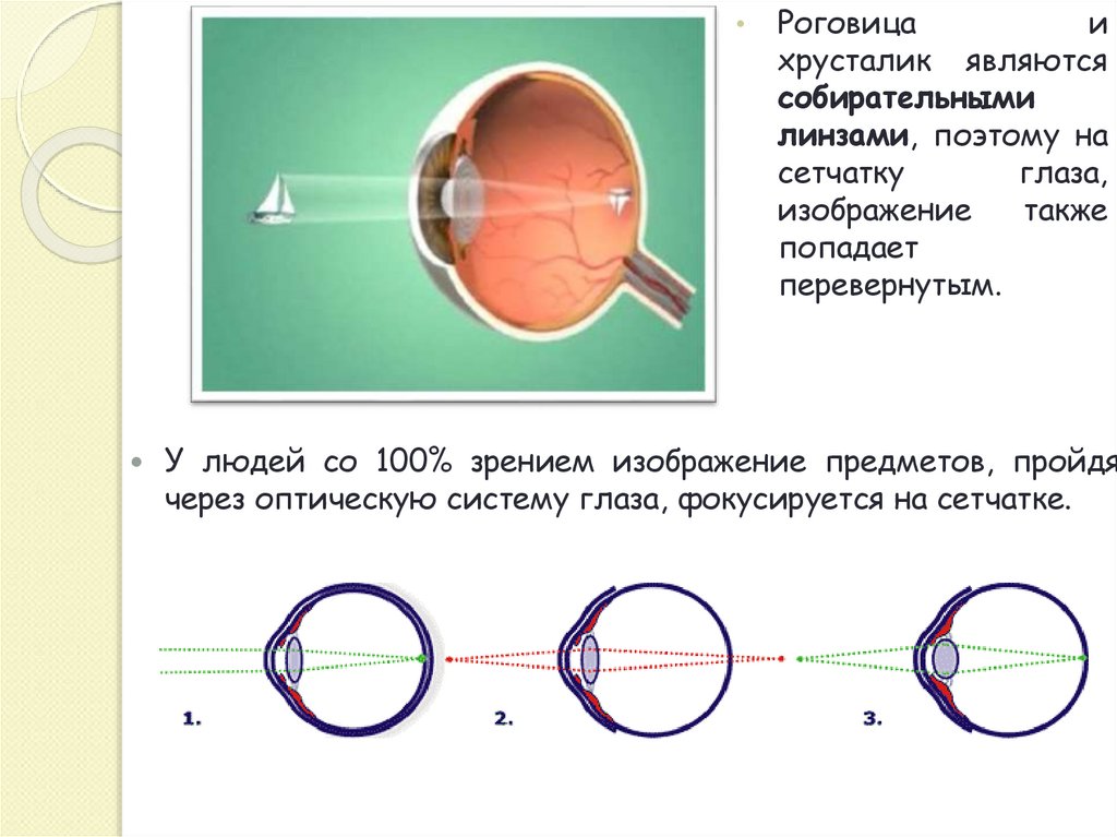 Оптическая схема очков. Оптическая схема глаза человека. Схема Корша оптическая. Оптическая схема глаза в очках. Оптическая система глаз последовательность