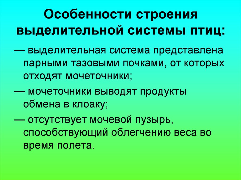 Экология группы. Особенности выделительной системы птиц. Особенности строения выделительной системы. Особенности строения выделительной системы у птиц. Особенное строение выделительной системы птицы.