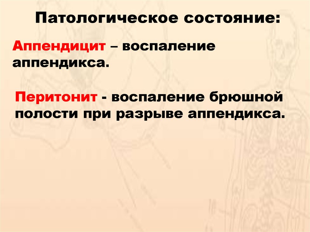 Функция толстой