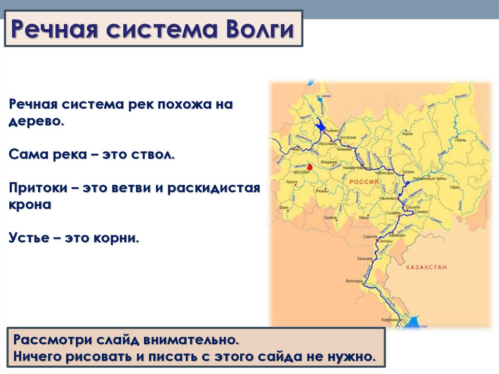 Речная система Волги. Речная система. Что такое Речная система кратко.