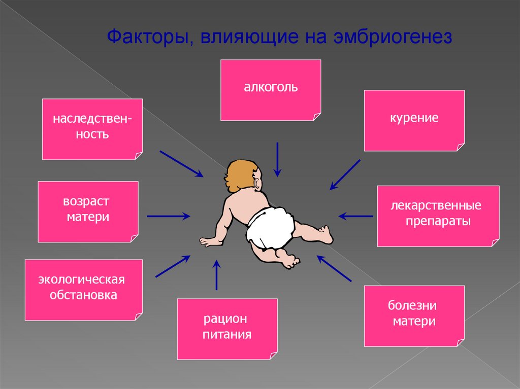 Влияние стресса на развитие плода презентация