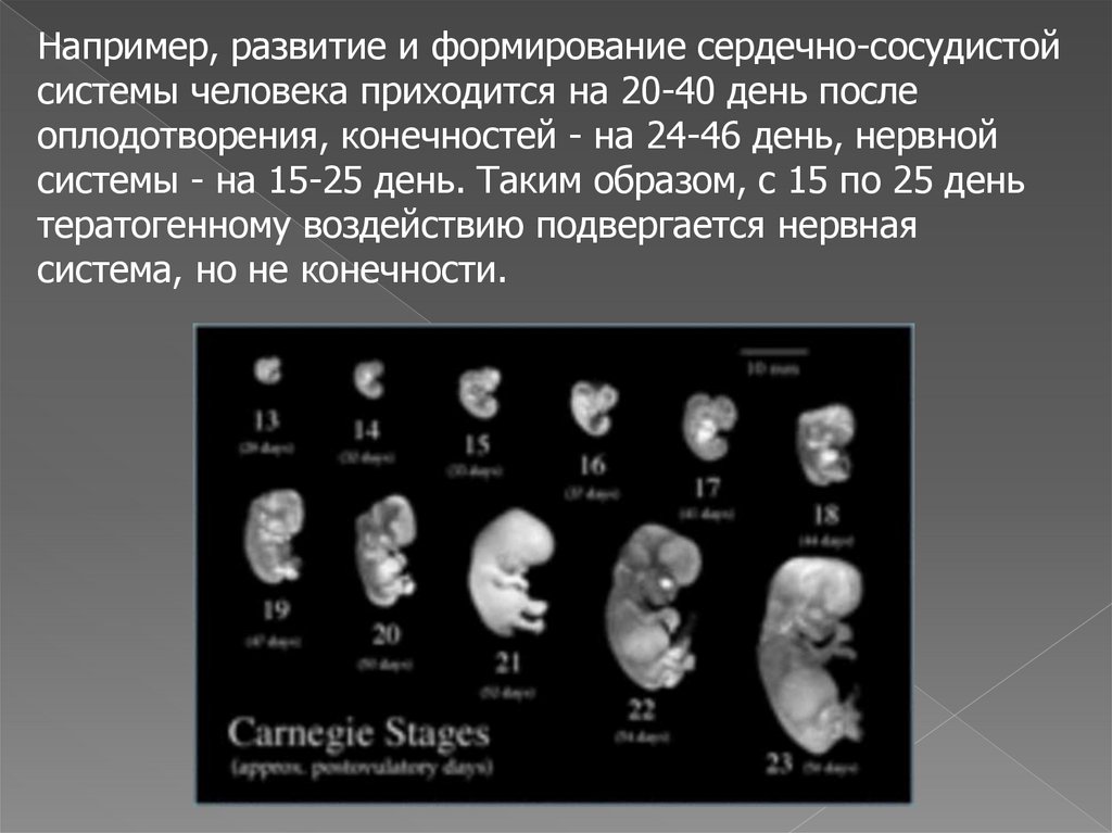 Влияние лекарственных препаратов на беременность презентация