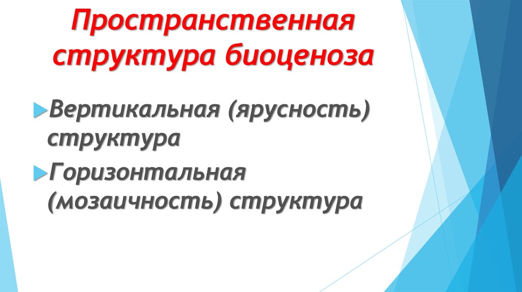 Пространственная структура. Горизонтальную и вертикальную пространственную структуру. Вертикальная структура биоценоза. Вертикальная и горизонтальная структура биоценоза. Горизонтальная неоднородность биоценоза.