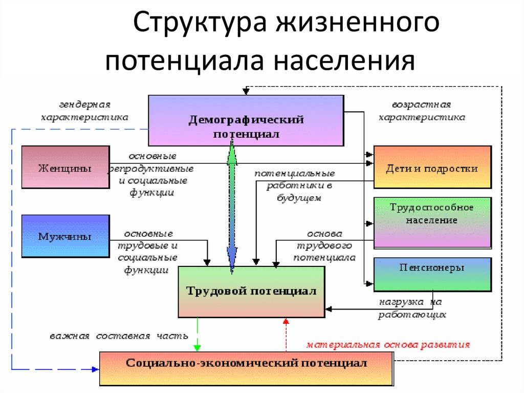 Потенциал населения