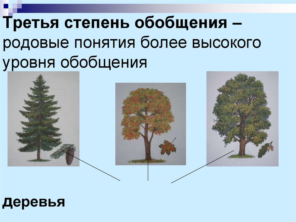 Степени обобщения слов. Видовые и родовые обобщения. Родовое обобщение это. Деревья обобщение. Высокая степень обобщения.