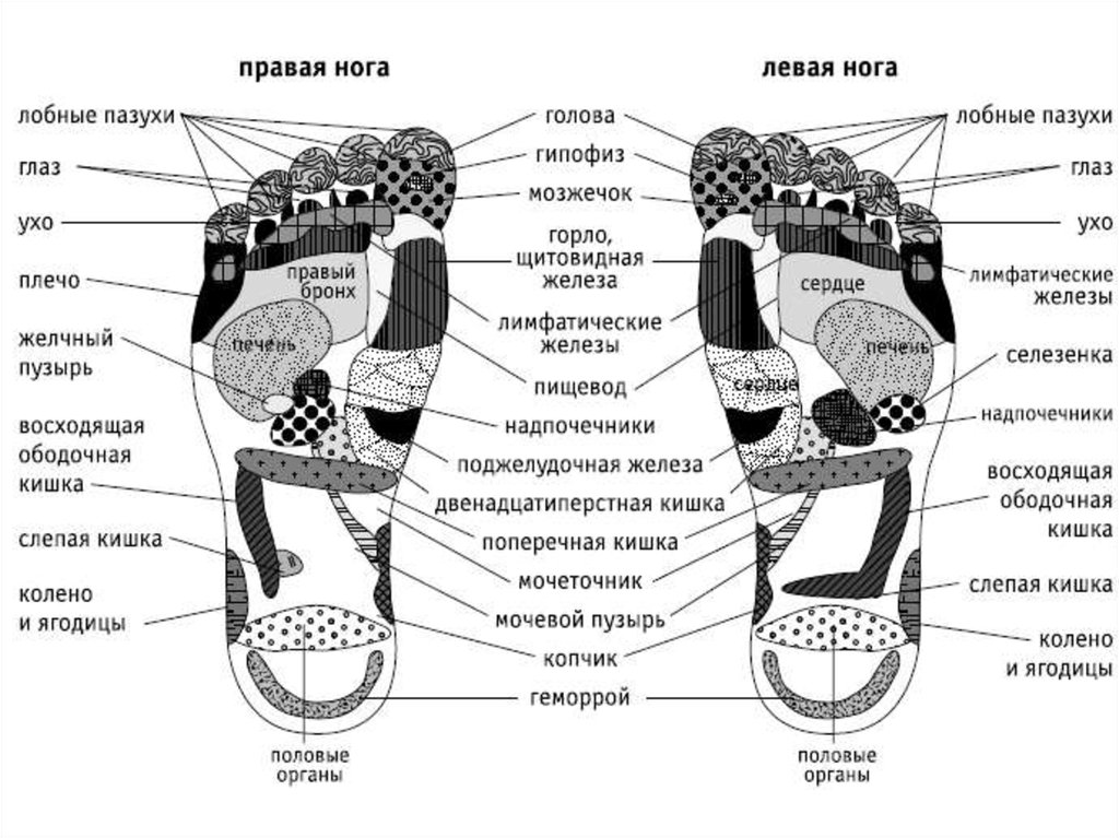 Точки на ногах. Точки органов на стопе. На стопе точки органов внутренних человека. Проекции органов на стопах ног. Стопы и органы схема.