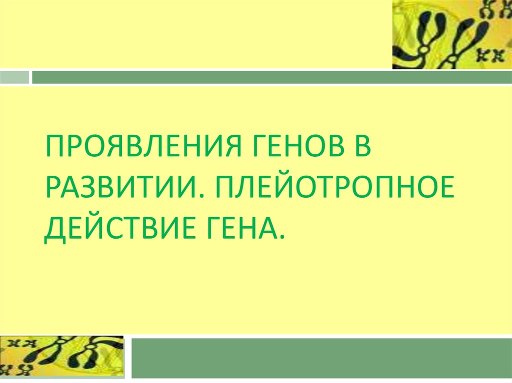 Проявление генов в онтогенезе презентация