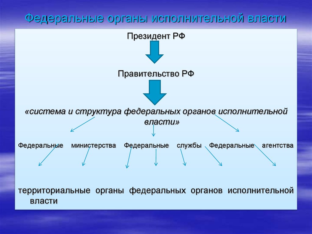 План по теме высший орган исполнительной власти в рф