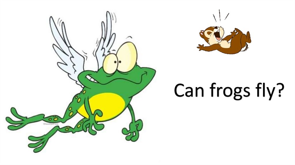 Frogs 1. Frog and Fly. Fly Frog приглашение. Frogs can.