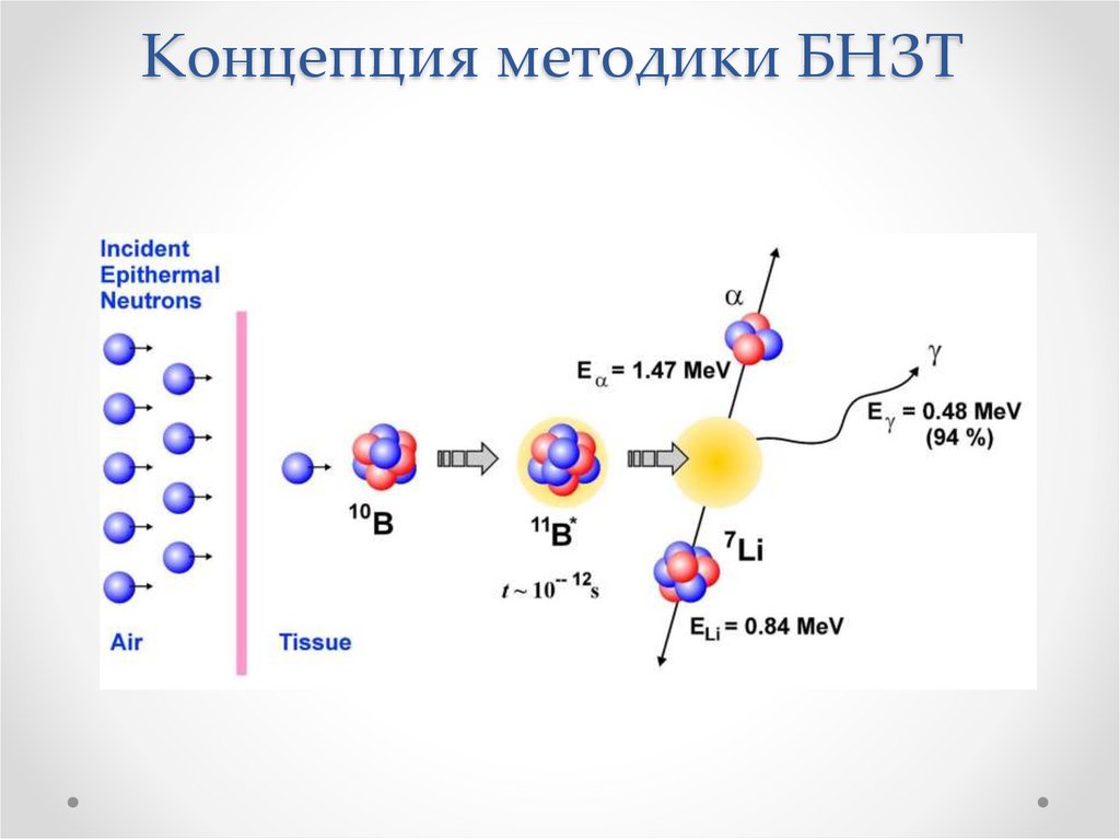 Нейтронная терапия презентация