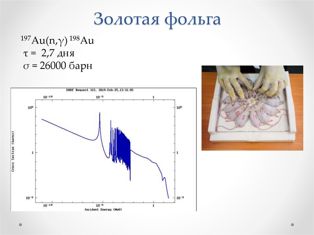 Золотая фольга