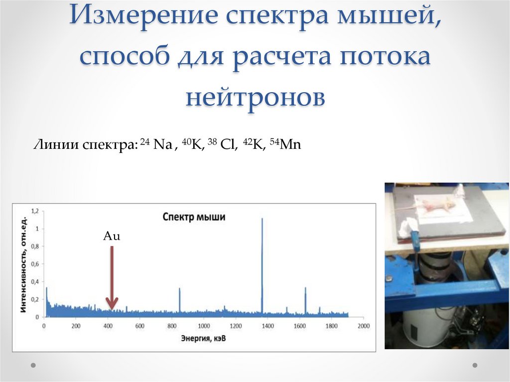 Измерение спектра мышей, способ для расчета потока нейтронов