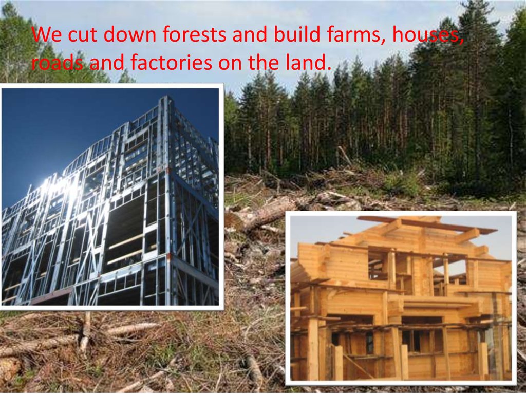 We cut down forests and build farms, houses, roads and factories on the land.