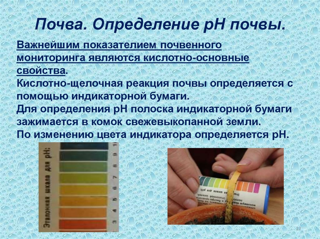 Как определить кислотность почвы самостоятельно. Кислотность почвы PH. Определение PH почвы. Определение кислотности почвы. Измерить кислотность почвы.