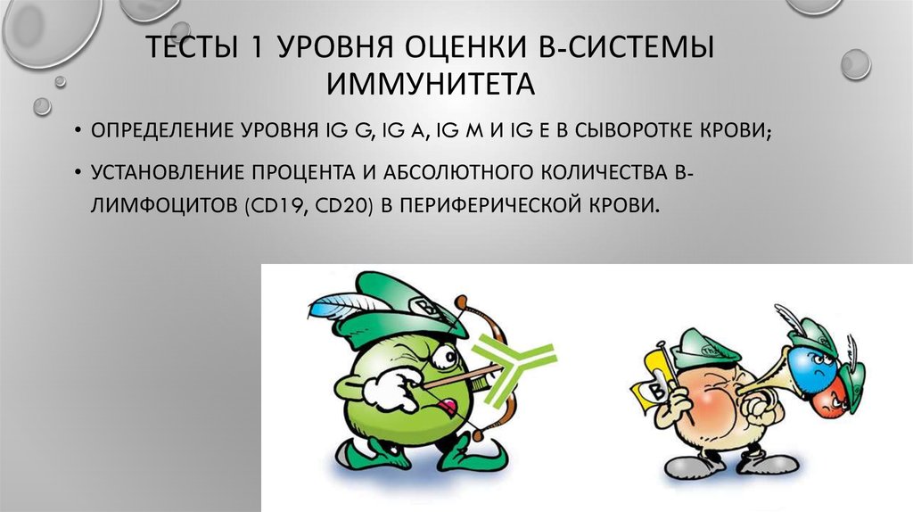Тесты 1 уровня оценки В-системы иммунитета