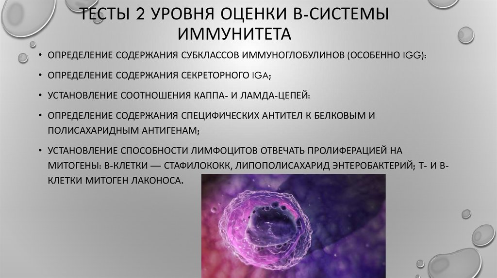Тесты 2 уровня оценки В-системы иммунитета
