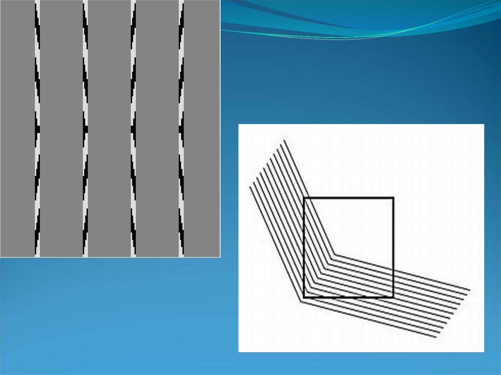 Геометрические иллюзии презентация