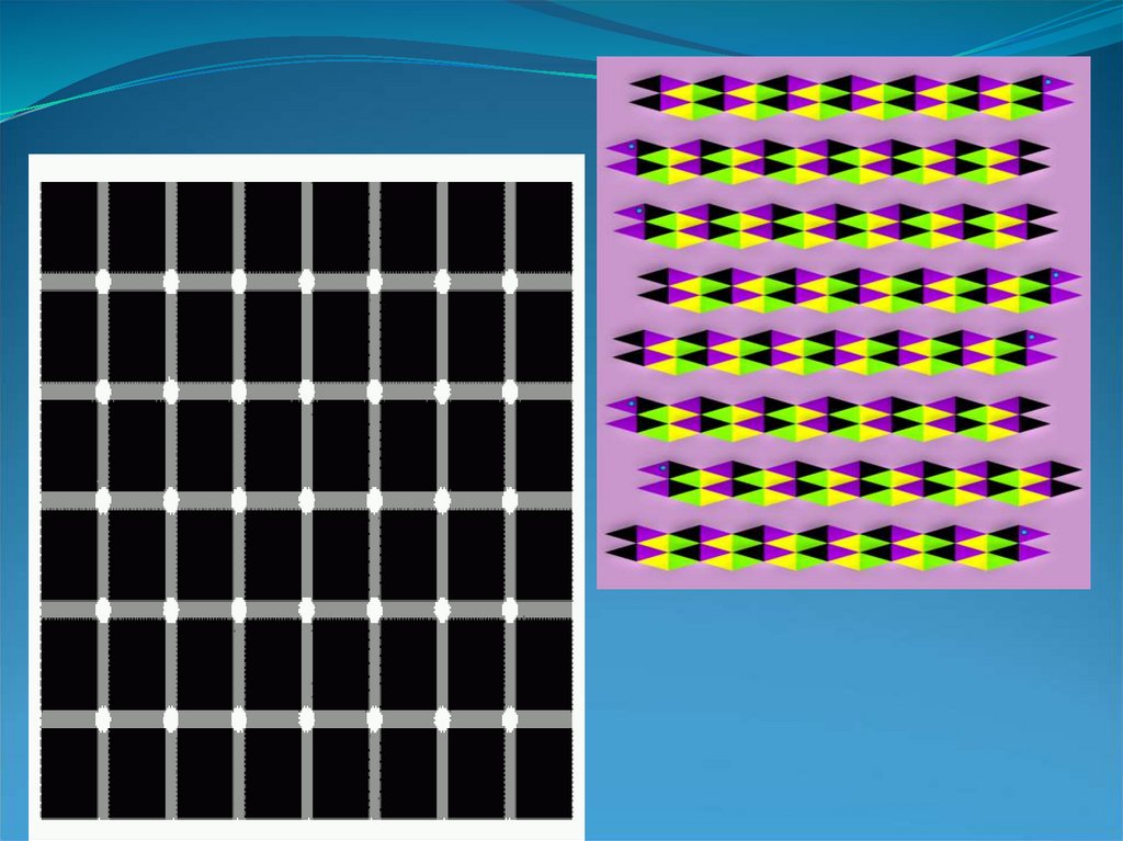 Оптическая иллюзия физика презентация