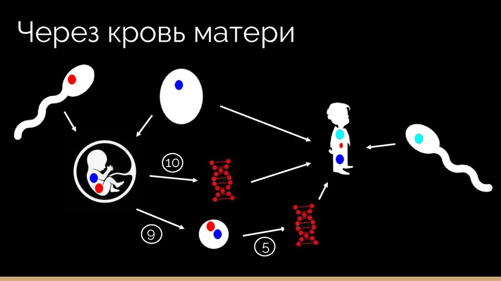 Через кровь матери