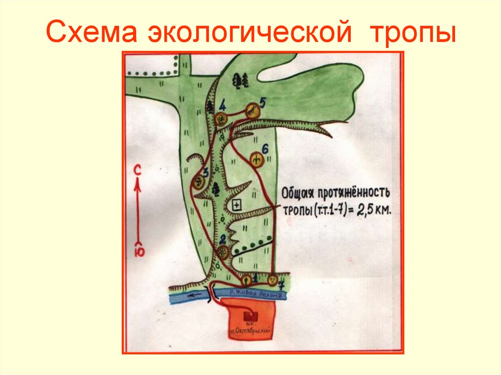 Экологические тропы хвалынска карта