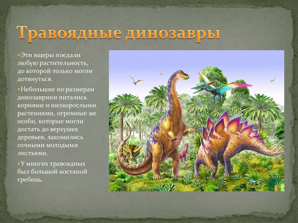 Когда жили динозавры видеоурок. Презентация на тему динозавры. Травоядные динозавры. Травоядные динозавры презентация. Травоядные динозавры травоядные динозавры.