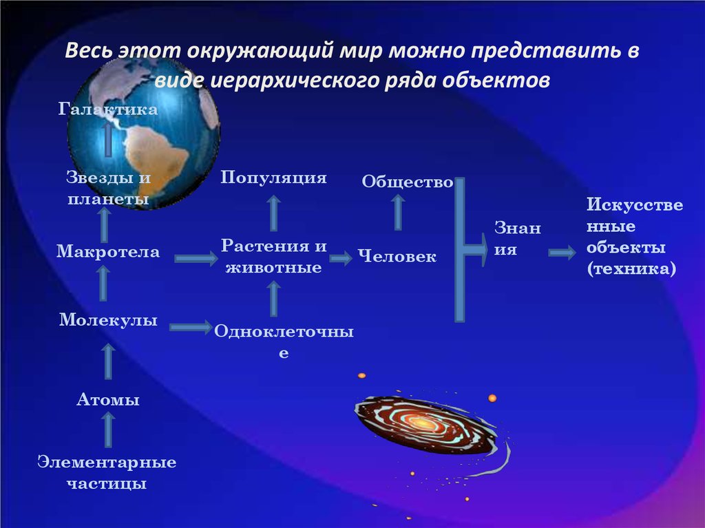 Иерархическая система общества