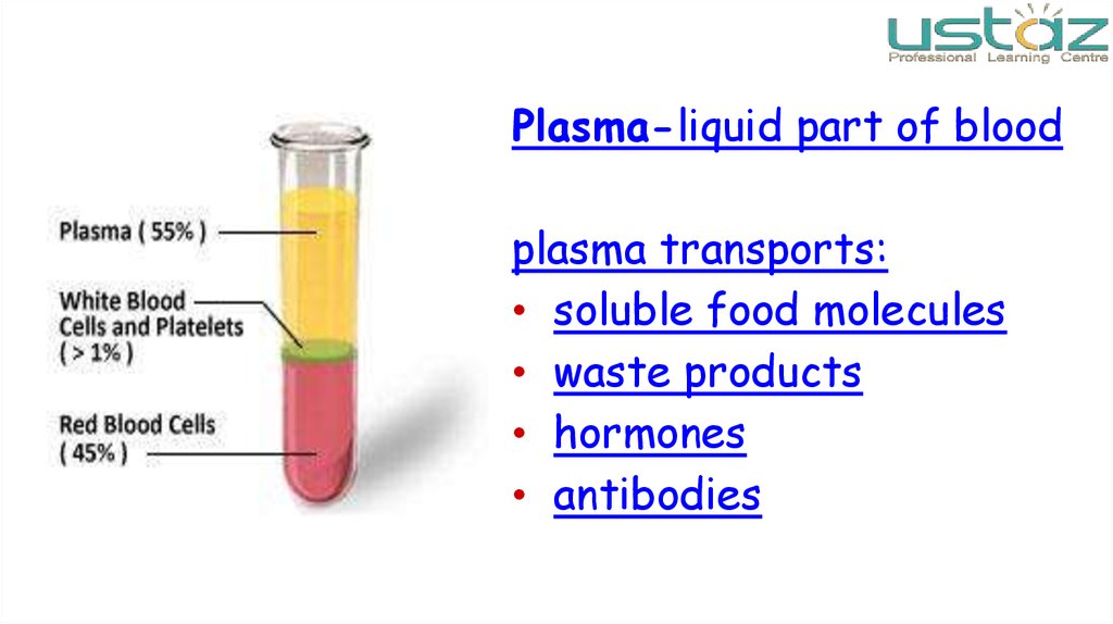 Плазма жидкость. Plasma Liquid. Plasma Liquid перевести на русский язык с немецкого.