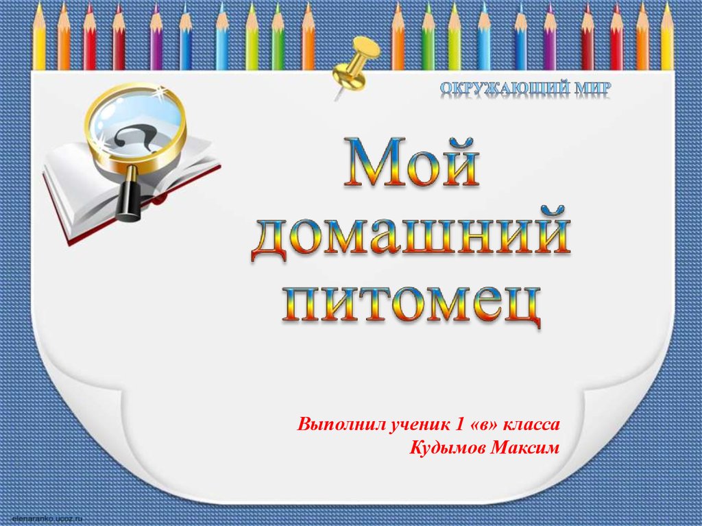 Презентация мой питомец