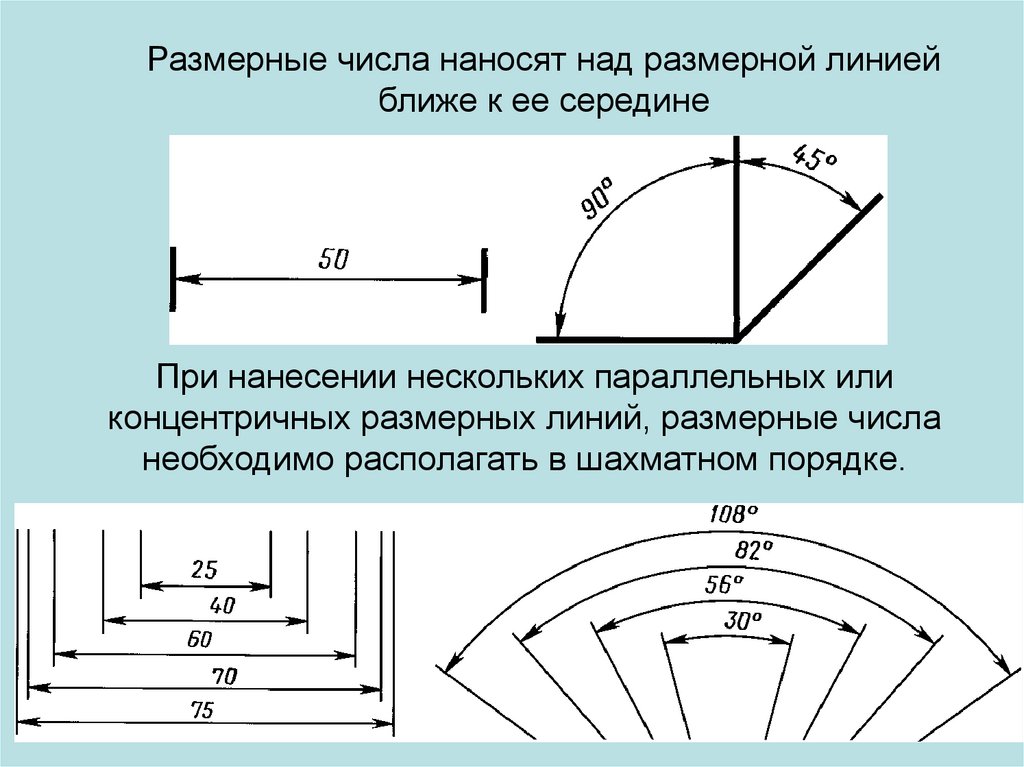 На каком рисунке размеры нанесены правильно